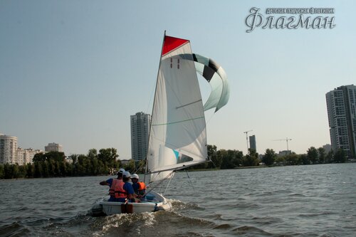 IMG_8241